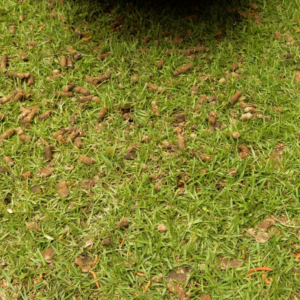 Home Services in Lehi, UT Home Services in Lehi, UT