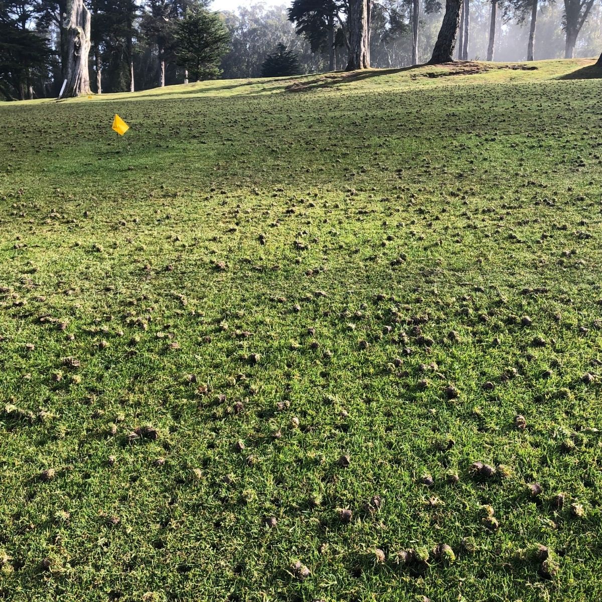 Home Services in Lehi, UT Home Services in Lehi, UT